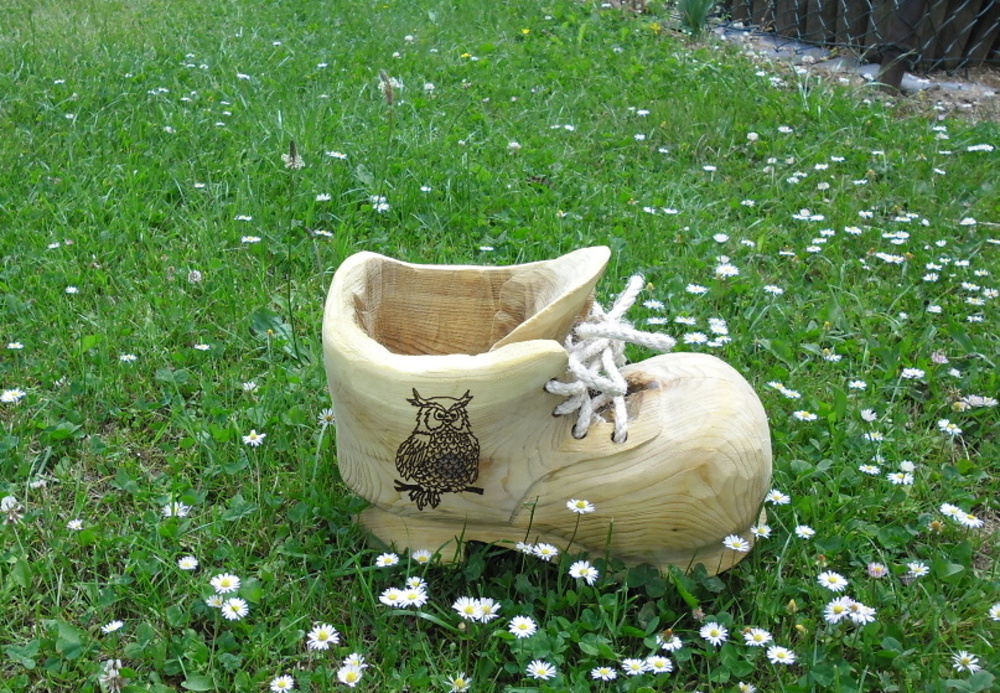 Sova na botě (02)